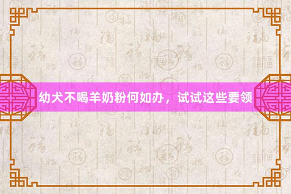 幼犬不喝羊奶粉何如办，试试这些要领