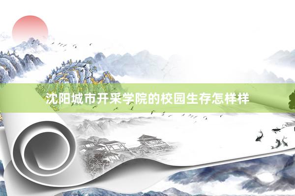 沈阳城市开采学院的校园生存怎样样