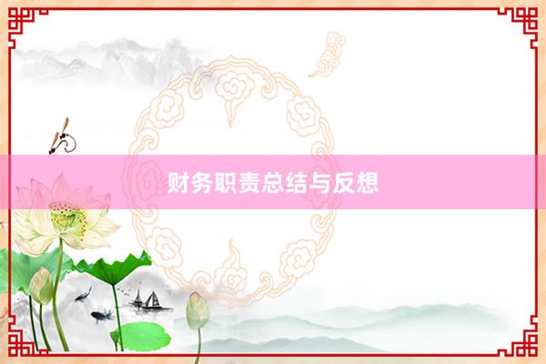 财务职责总结与反想