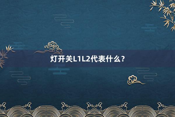 灯开关L1L2代表什么？
